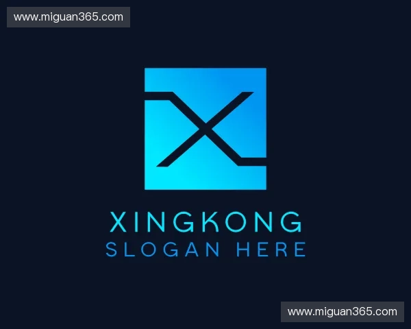 关于xingkong中国官网